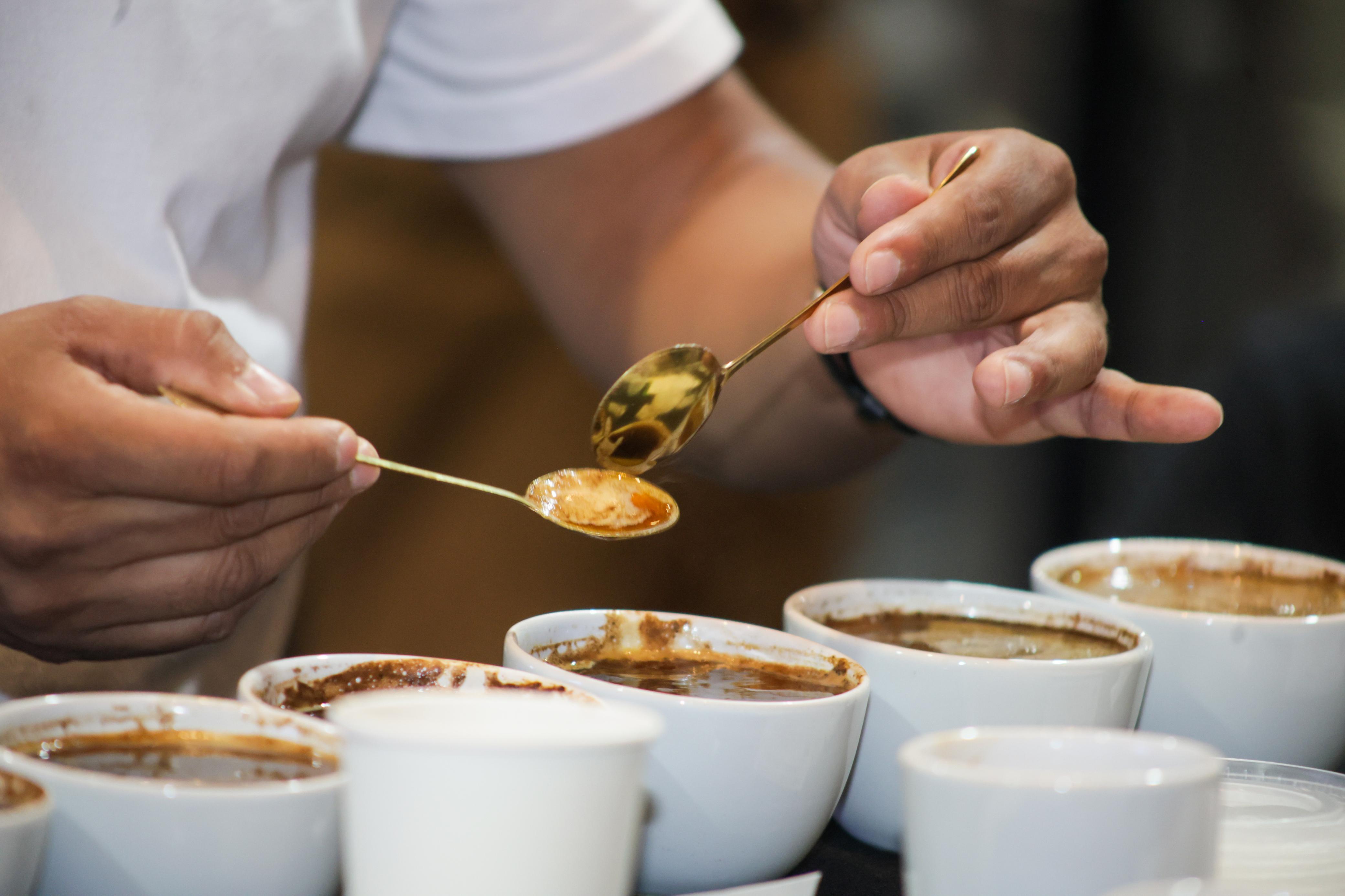 Sierra Negra se posiciona en el Concurso “CALIDAD EN TAZA, POR AMOR A PUEBLA 2025”