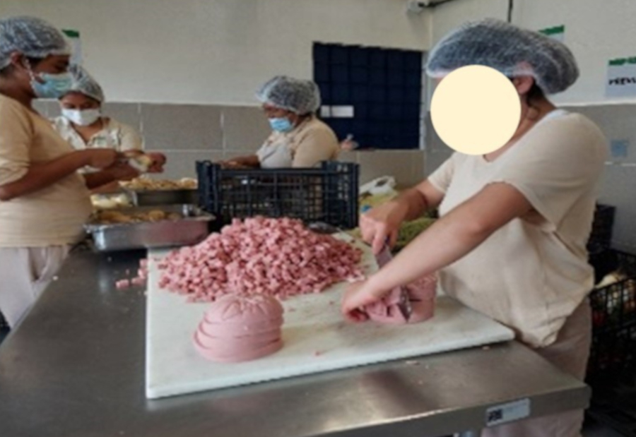 Industria Penitenciaria