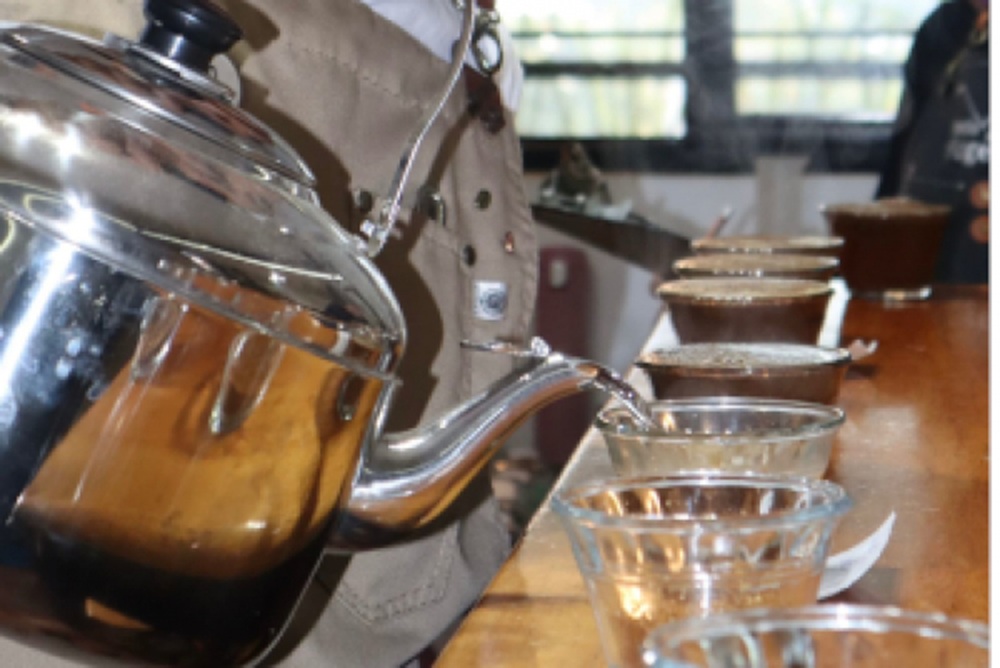 30 Cafés rumbo a la gran final del concurso “Calidad en taza 2025”