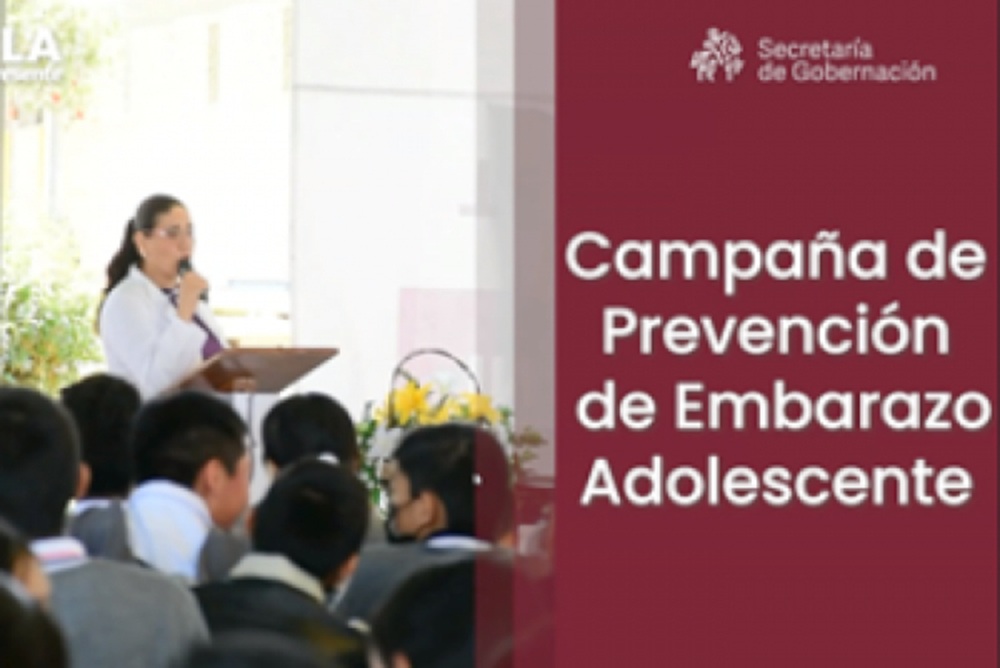 Impartición de Asesorías en Materia Poblacional