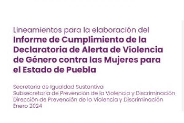 Lineamientos para el Informe de Cumplimiento de la Declaratoria de Alerta de Violencia de Género contra las Mujeres (DAVGM)