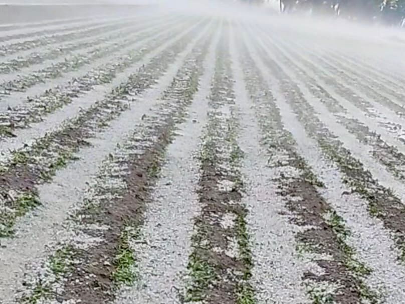 Gobierno del Estado supervisa afectaciones  por granizada en municipios de Región Izta-Popo