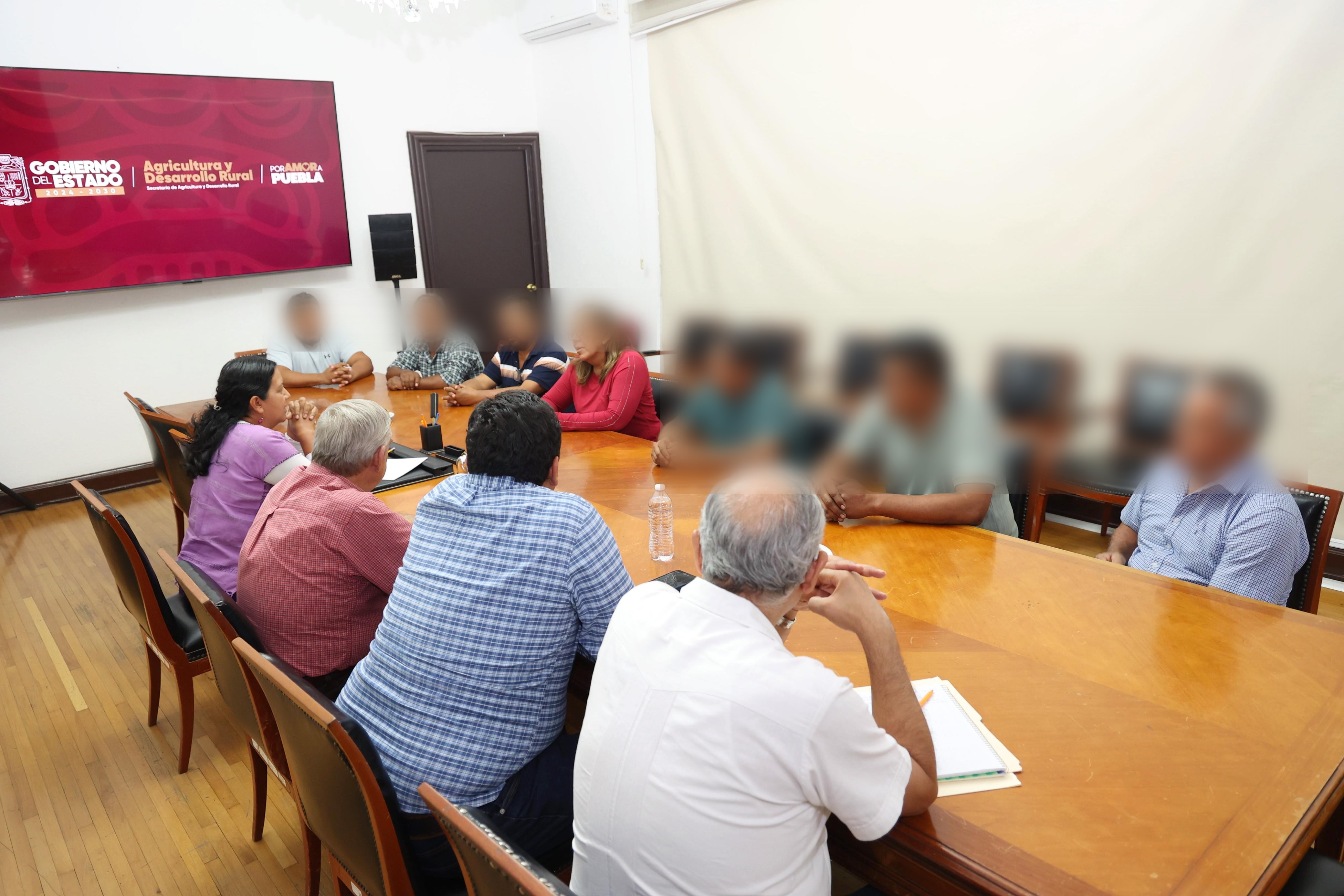 Avanza fortalecimiento del sorgo poblano con apoyos a productores de Tepexco