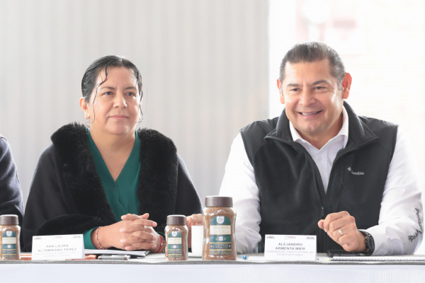 Delegaciones Microrregionales (Ventanillas o Módulos de Atención) 2026