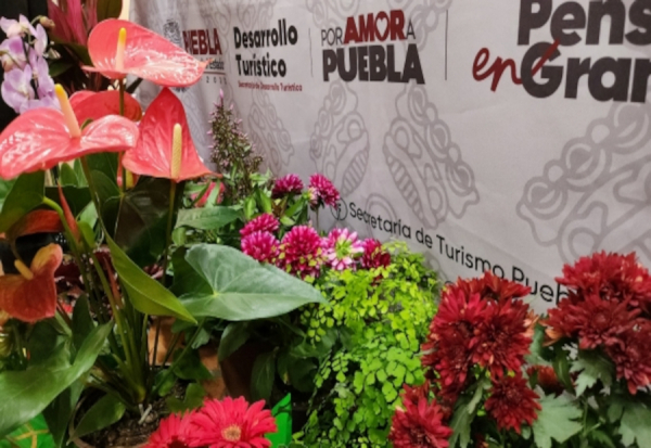"EXPO-FLOR" de Tenango de las Flores 2026