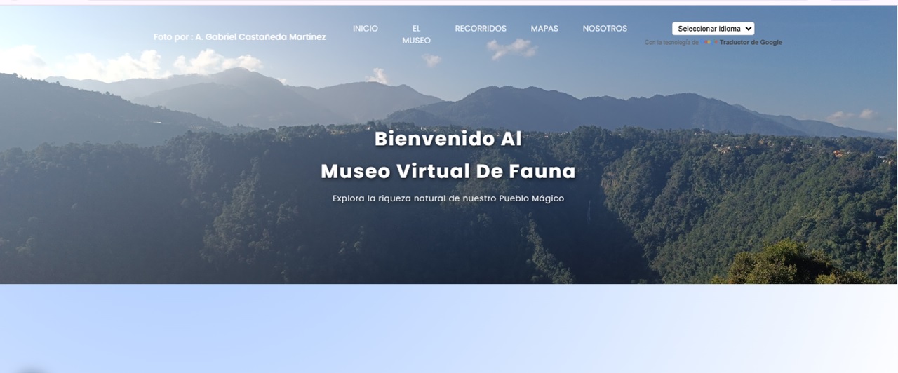 La perspectiva incluyente de la tecnología para la ciudadanía digital. El caso de la página web: "El Pueblo Mágico de Zacatlán"