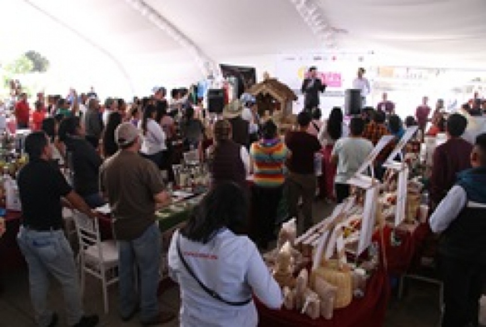 Expo Cooperativas Buen Fin